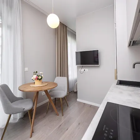 V39 New Appartement Vilnius